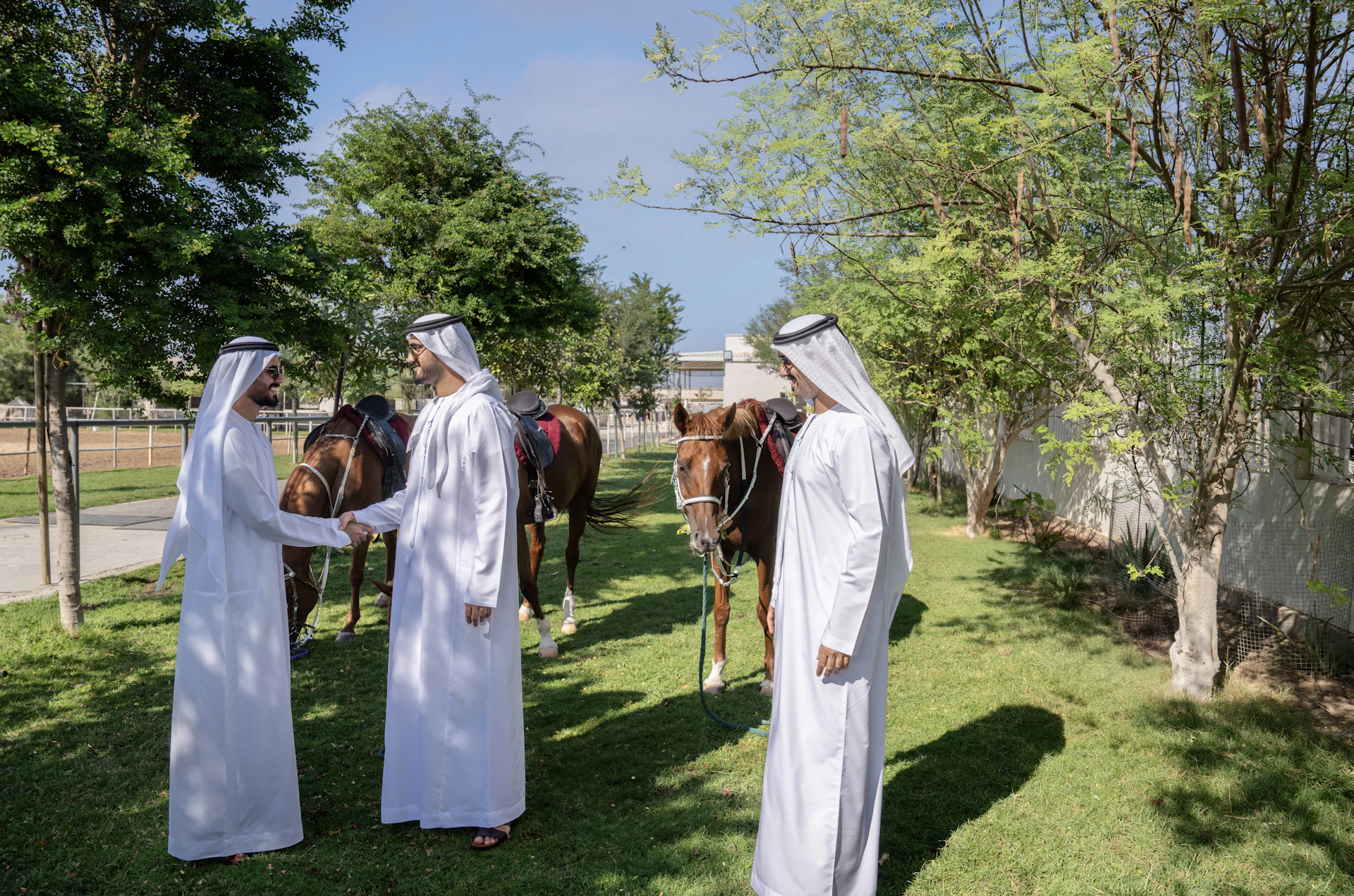 UAE resident checking EU student visa documents for admission, funds, accommodation and residence consistency